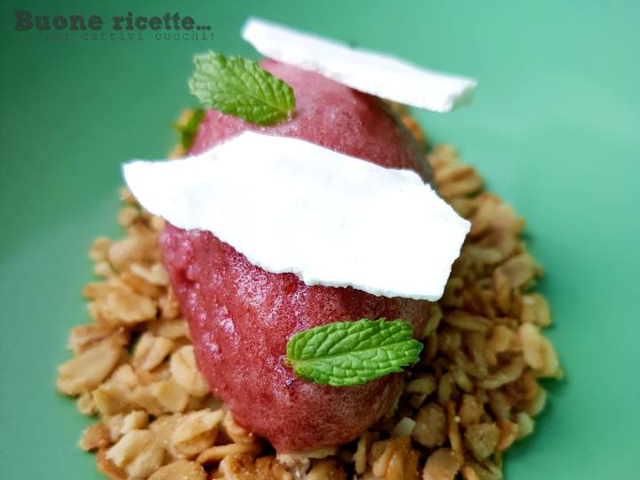sorbet fait maison à la pastèque