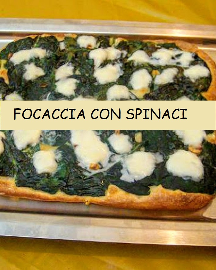 FOCACCIA AUX ÉPINARDS ET MOZZARELLA