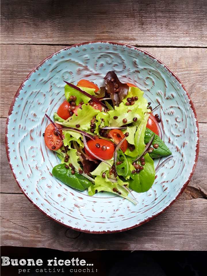 salade d'été avec lentilles, oignons rouges et tomates
