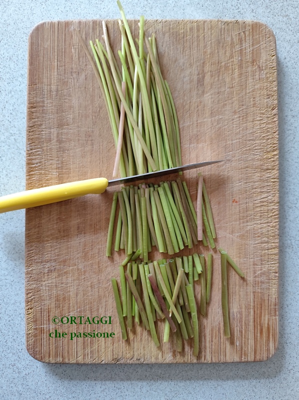 couper tiges de pissenlit