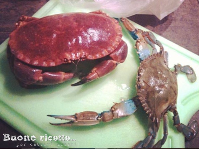 cuisiner le crabe conseils et recette
