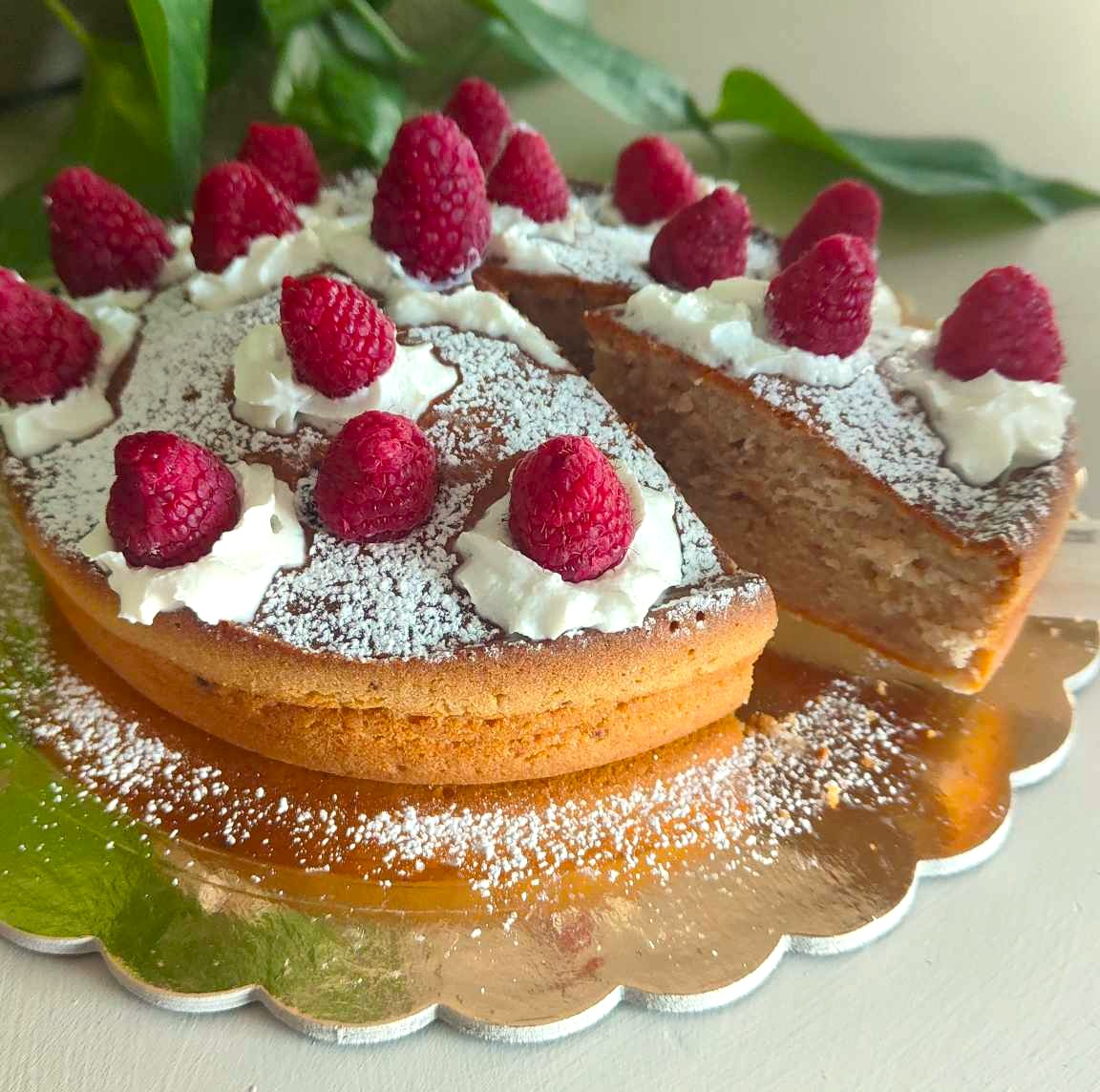 GÂTEAU AU YAOURT et Framboises Lyophilisées à la Friteuse à Air