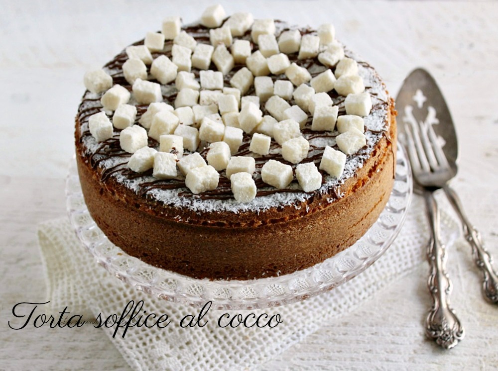 Gâteau moelleux à la noix de coco