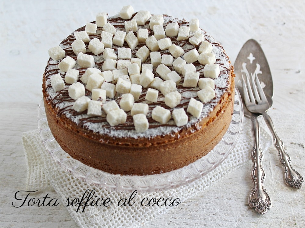Gâteau moelleux à la noix de coco
