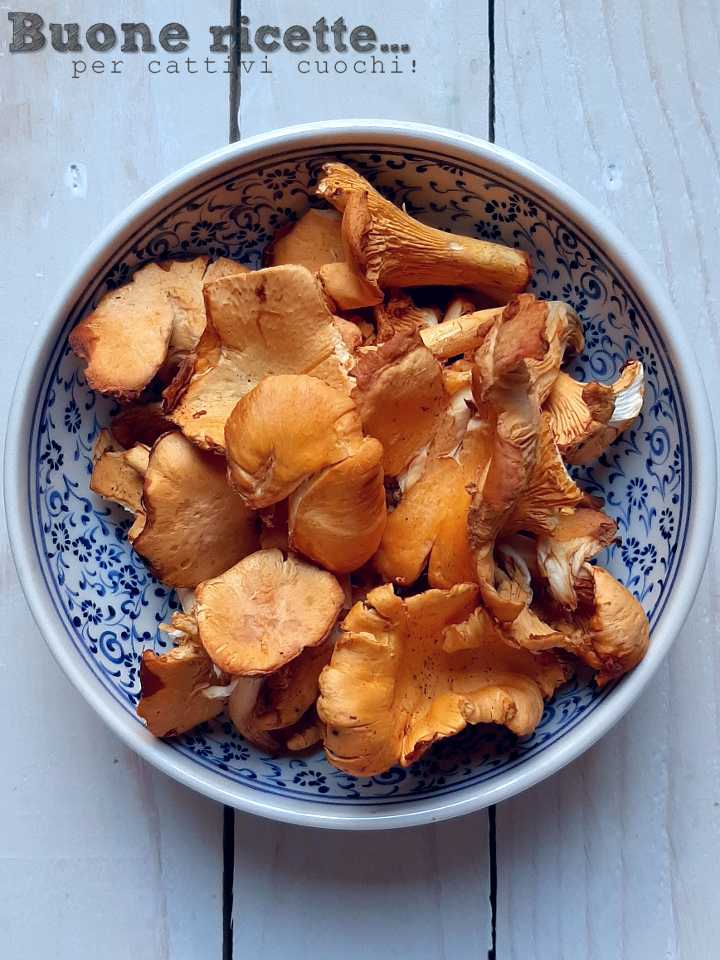champignons girolles