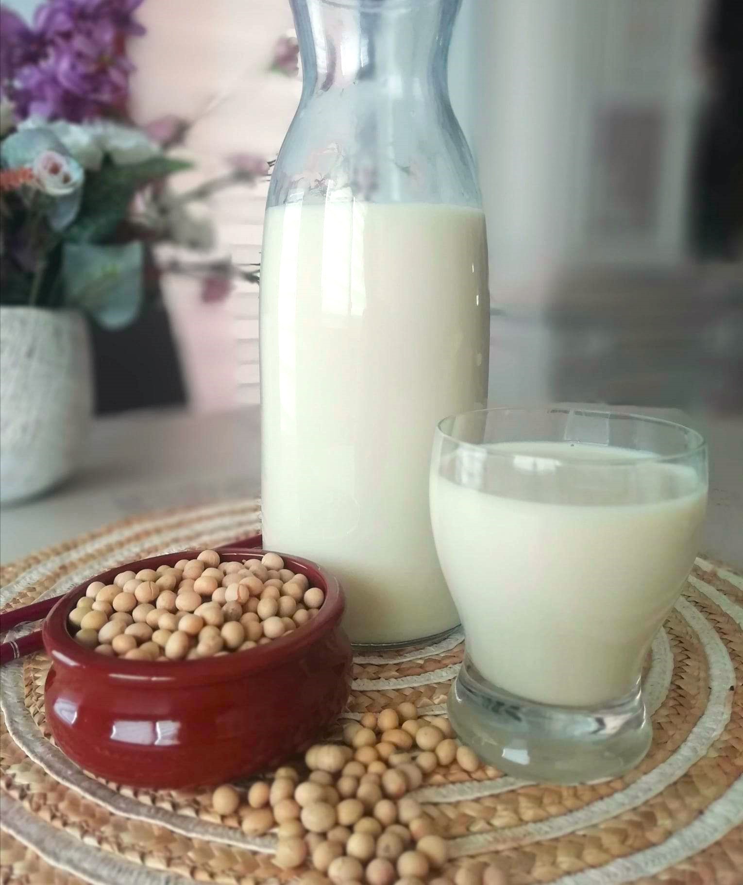 LAIT DE SOJA FAIT MAISON 2