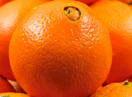 oranges navel