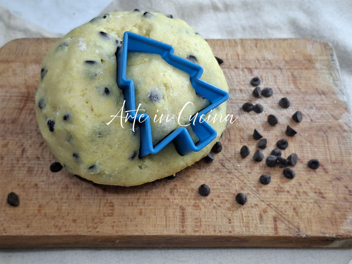 PÂTE SABLÉE avec PÉPITES de CHOCOLAT