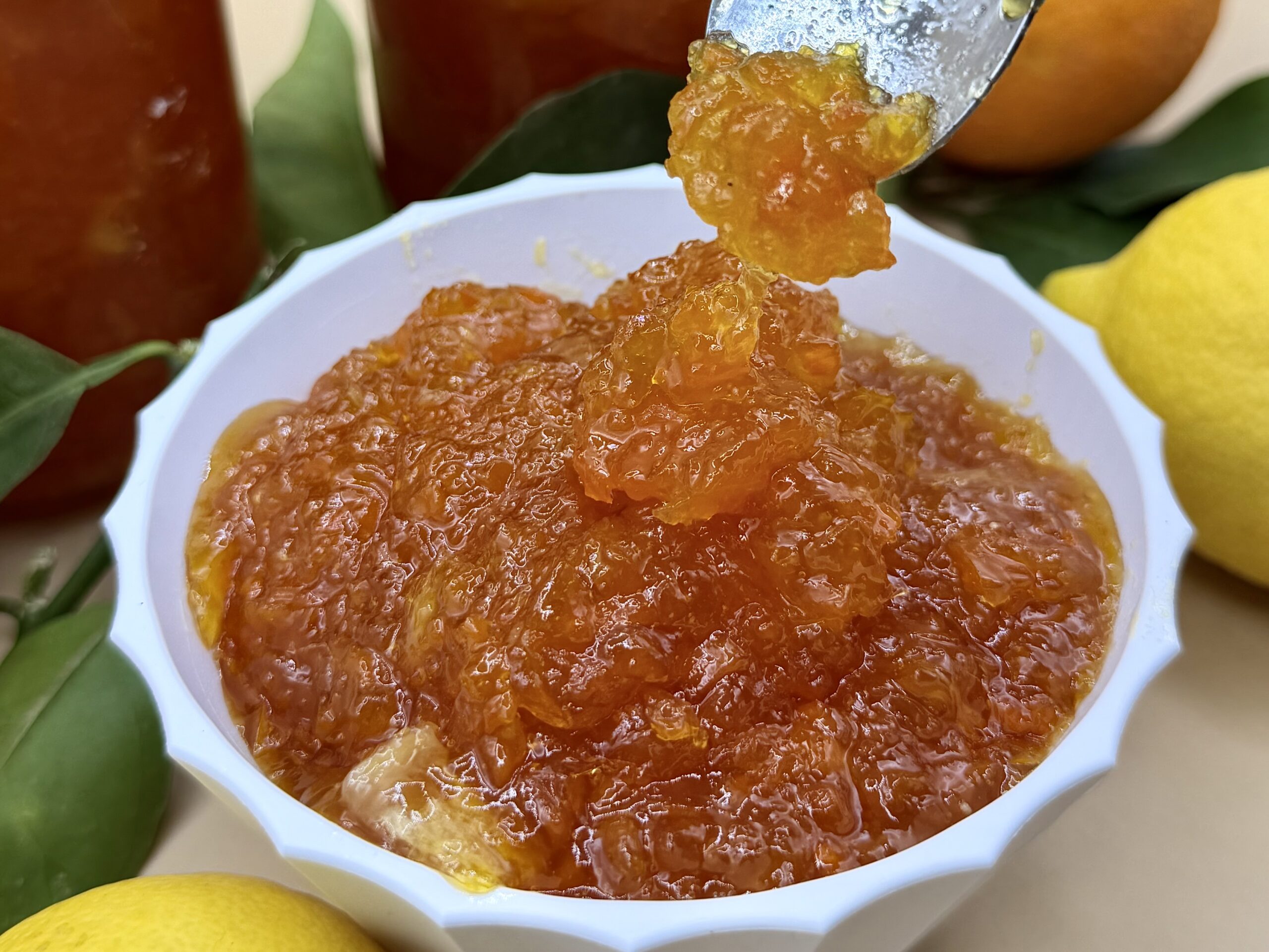 Confiture ACE maison : fraîche, intense, c&rsquo;est une explosion de saveur naturelle