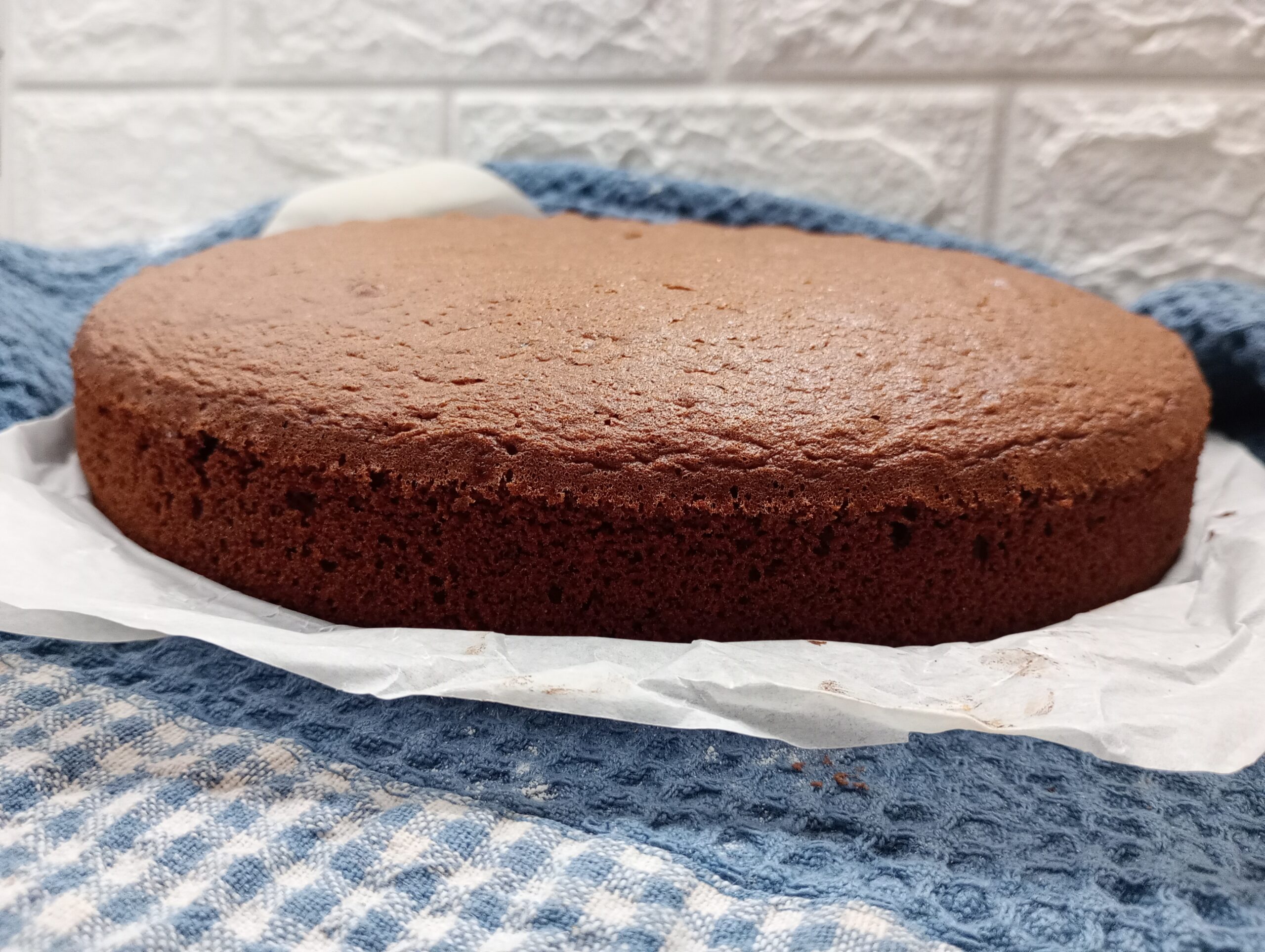 Gâteau au cacao (type génoise)