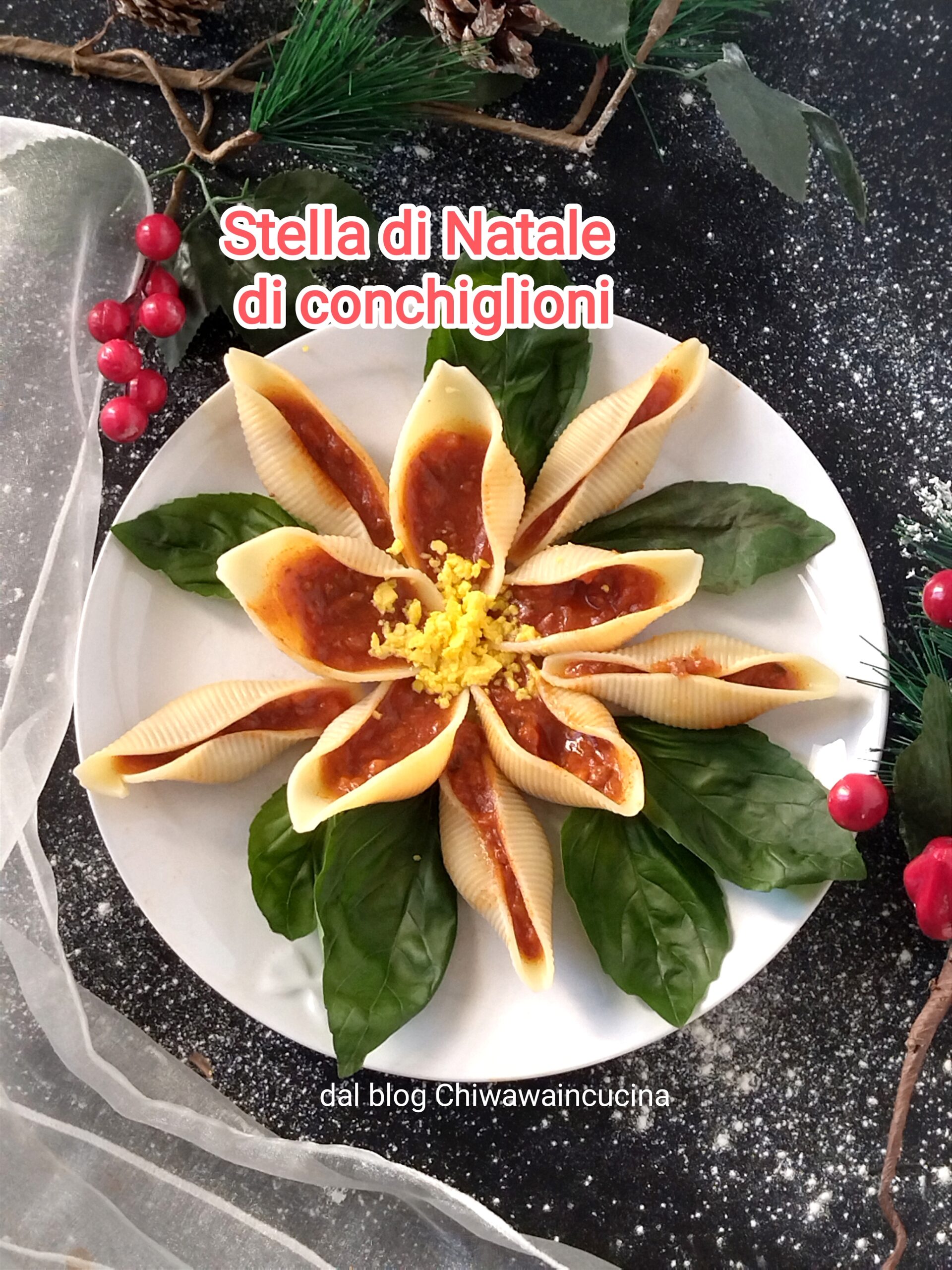 Étoile de Noël de conchiglioni