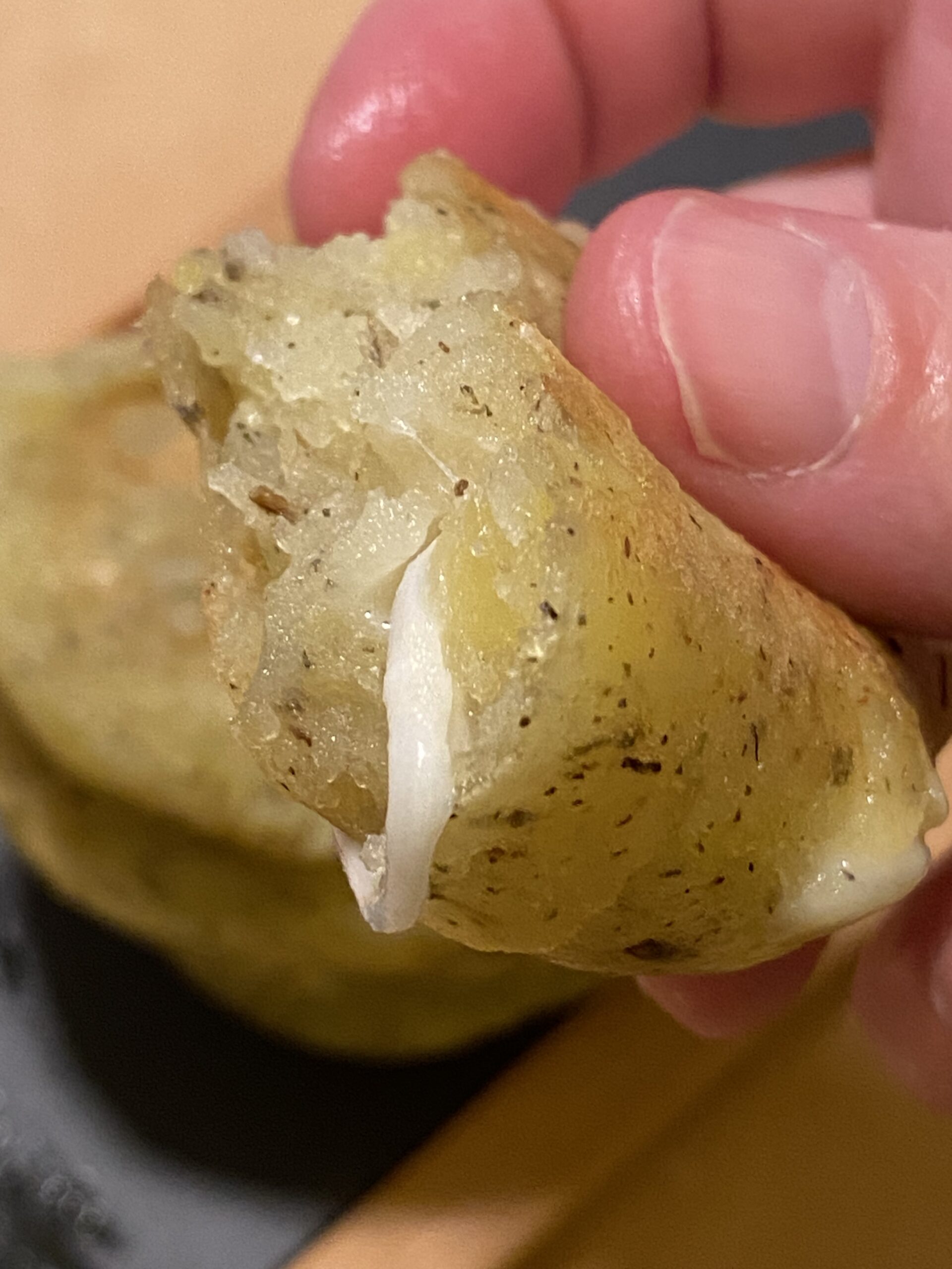 Burger de pommes de terre fondant