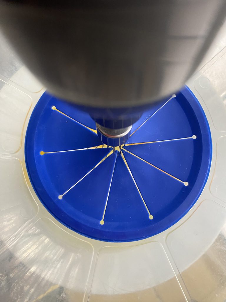 Raviolis avec farce de poisson