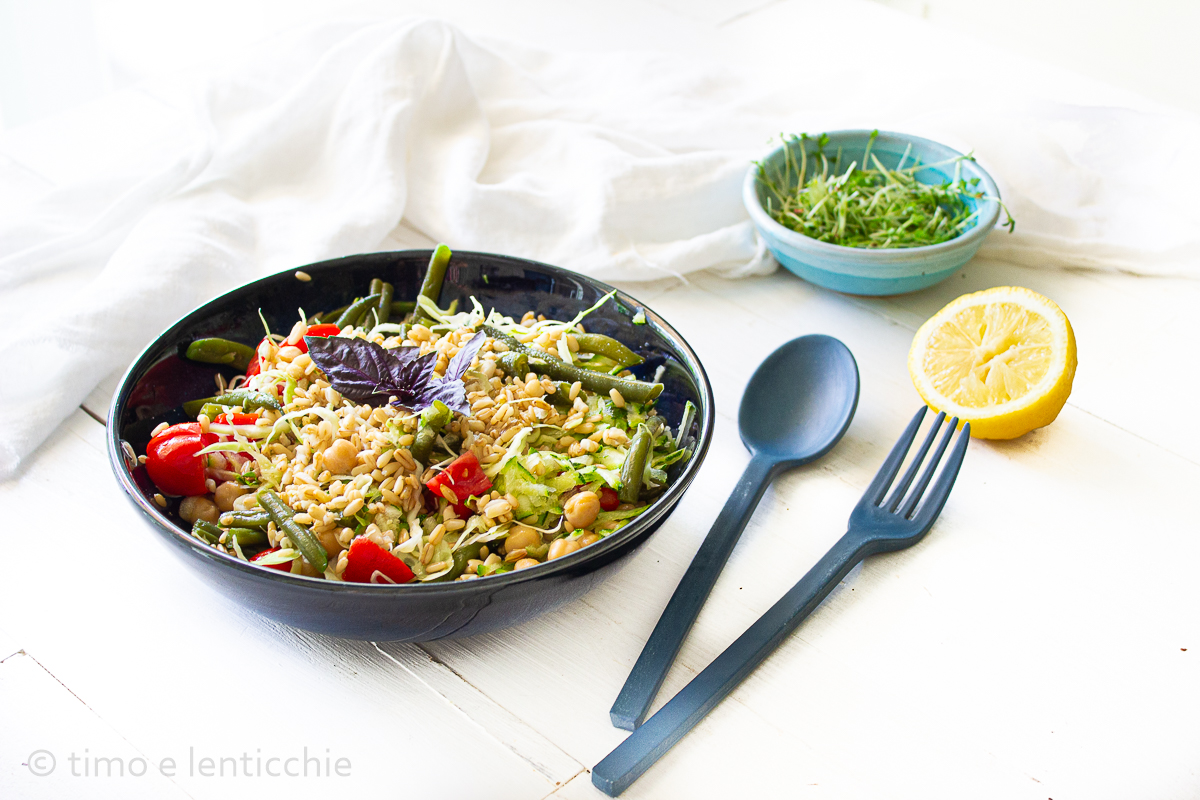 Salade d&rsquo;avoine, pois chiches et légumes