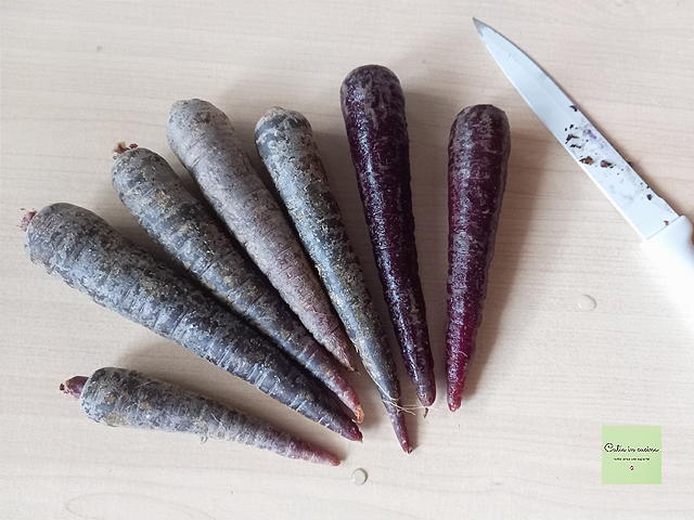 carottes violettes