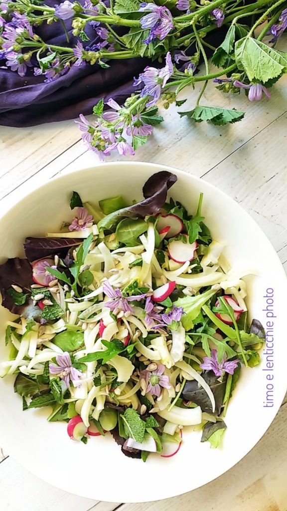 Salade de mauve détox