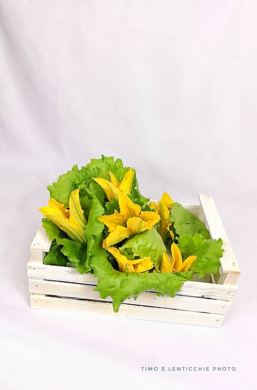 panier de fleurs de courgette