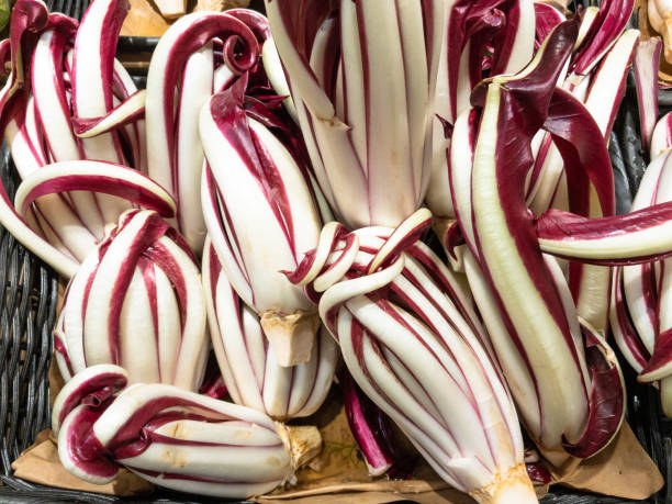 Radicchio de Trévise tardif IGP - la fleur d'hiver