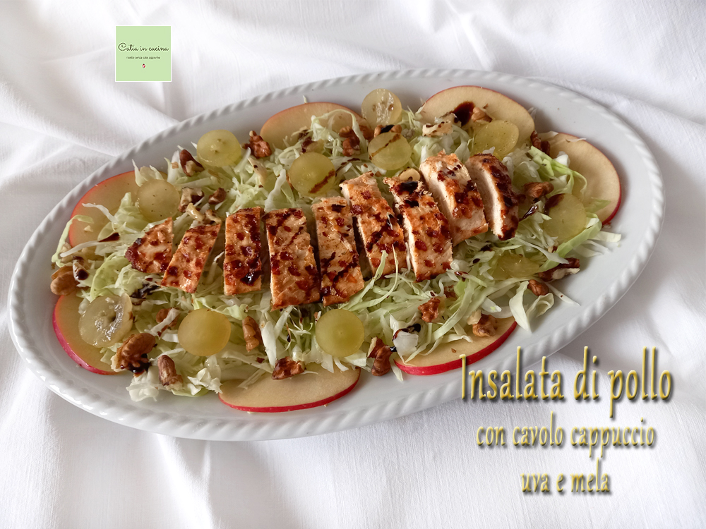 Salade de poulet avec chou, raisin et pomme