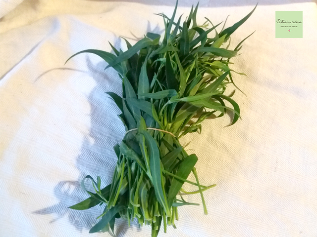 stridoli-strigoli-schioppetti-silène