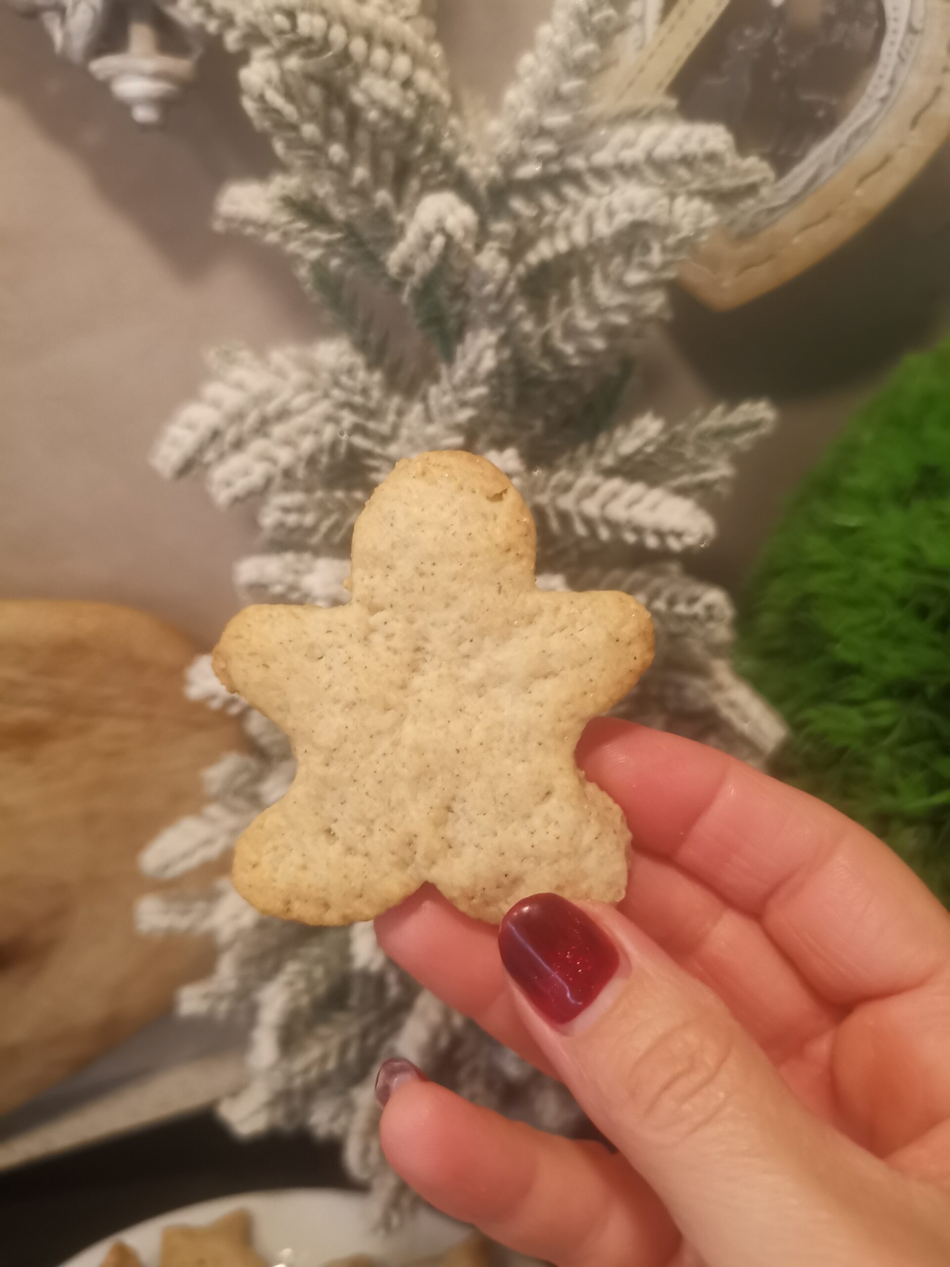 Biscuits de Noël épicés