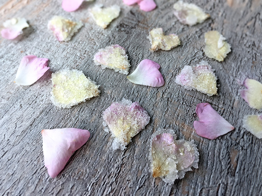 Pétales de Rose sauvage cristallisés