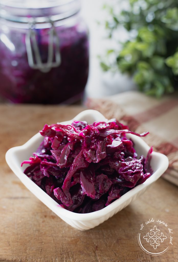 chou rouge fermenté fait maison