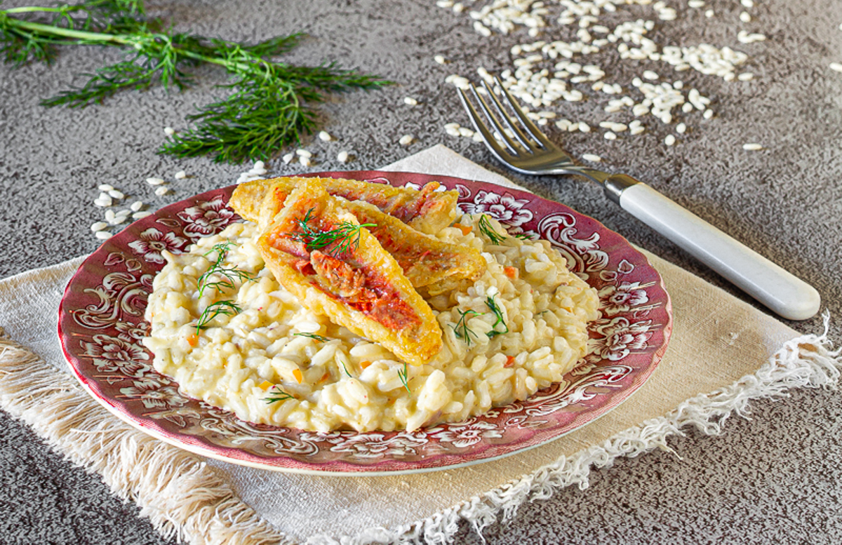 Risotto aux rougets, fenouil sauvage et Philadelphia