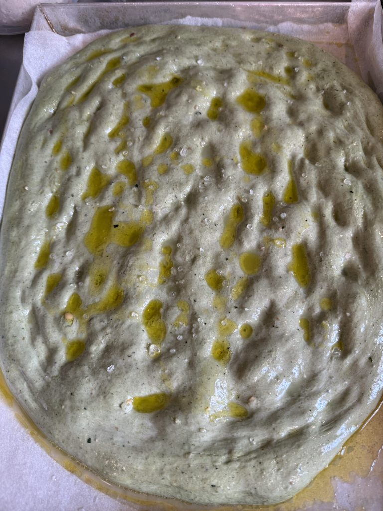 schiacciata au chou noir avec levain levée