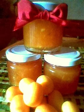 CONFITURE DE KUMQUAT mandarines chinoises