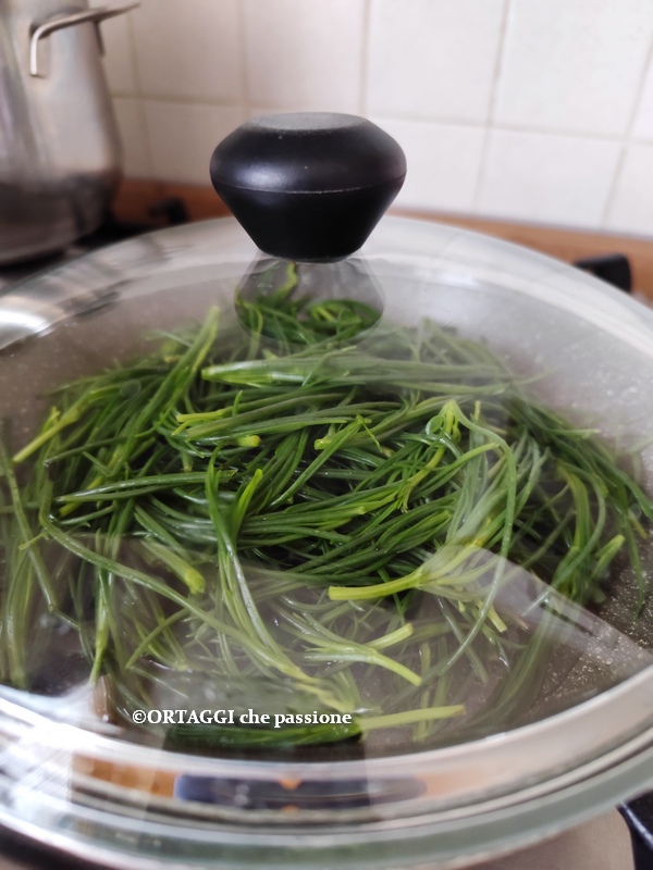 couvrir les agretti cuits à la poêle
