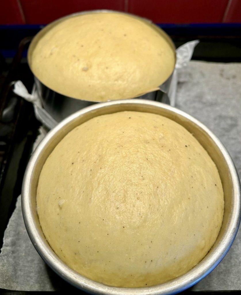 levée de la pizza au fromage de Pâques dans le moule