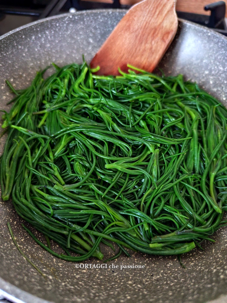 agretti barba di frate cuits à la poêle