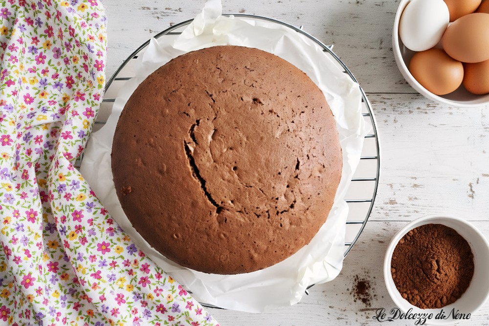 BASE POUR GÂTEAU AU CACAO À GARNIR