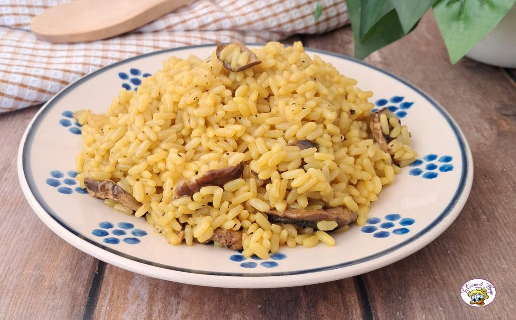 Risotto aux champignons séchés