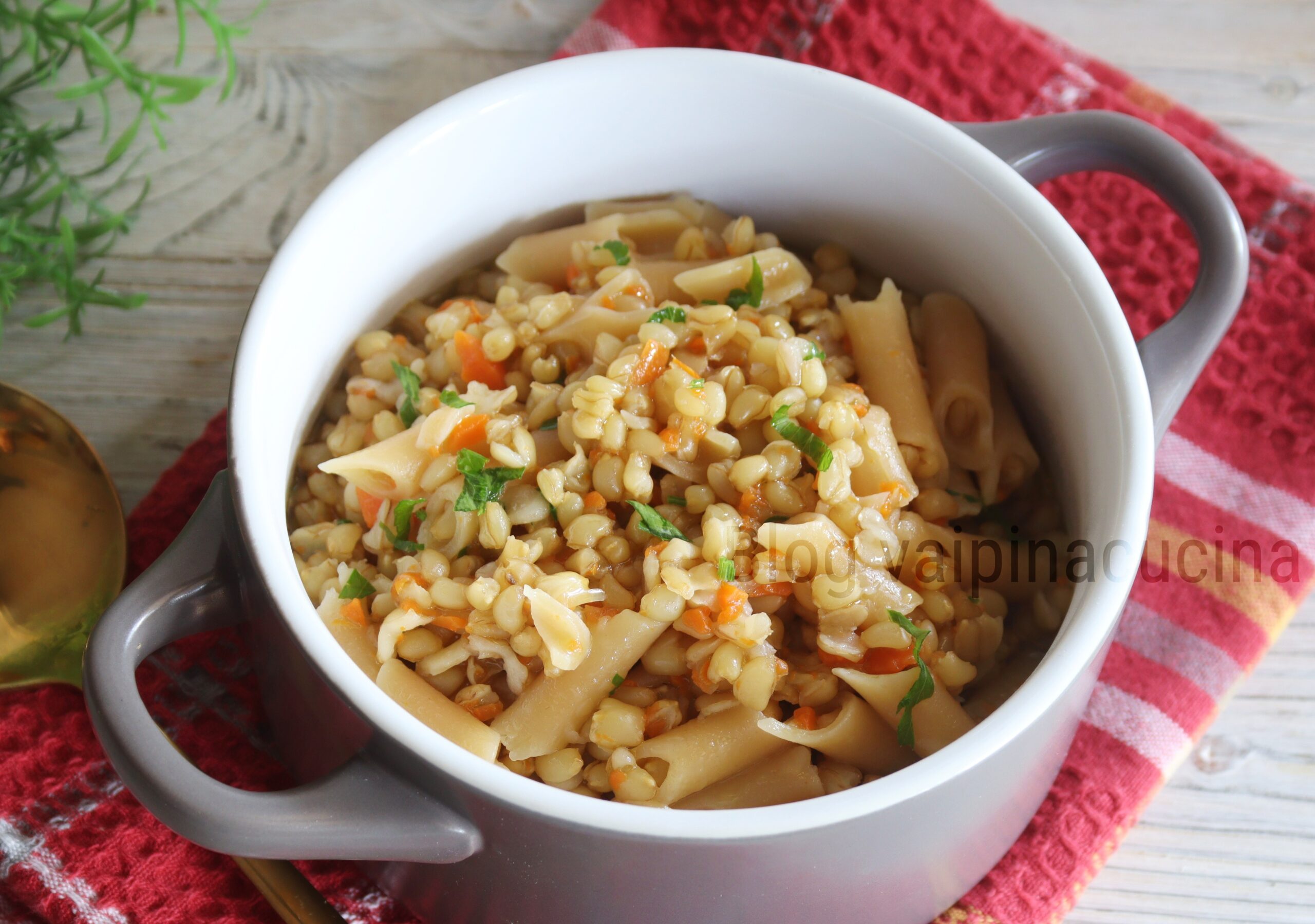 Sopa de trigo cocido