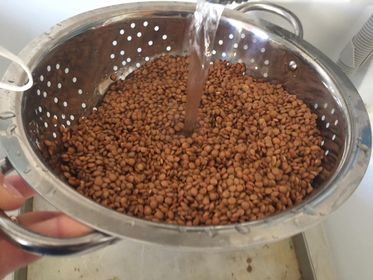 sopa de lentejas rojas