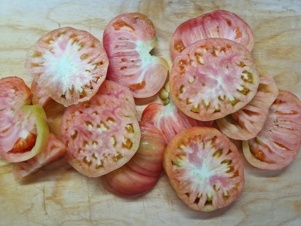tomates corazón de buey