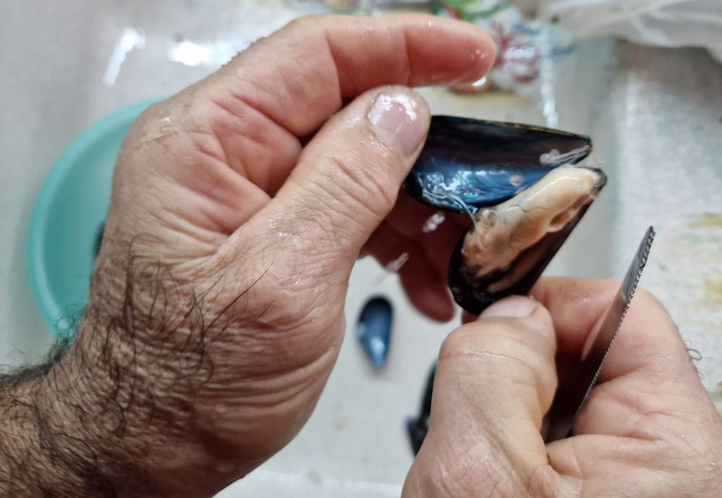 abrir mejillones