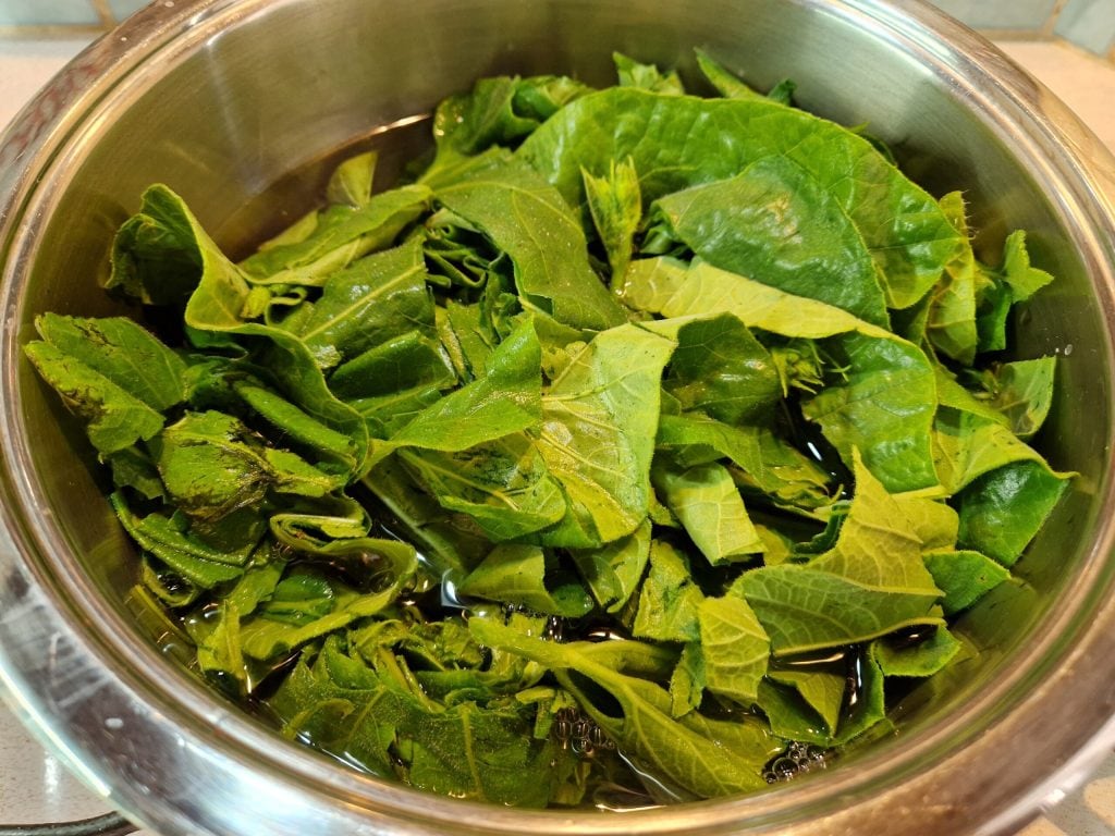 La pasta con los tenerumi sicilianos receta original