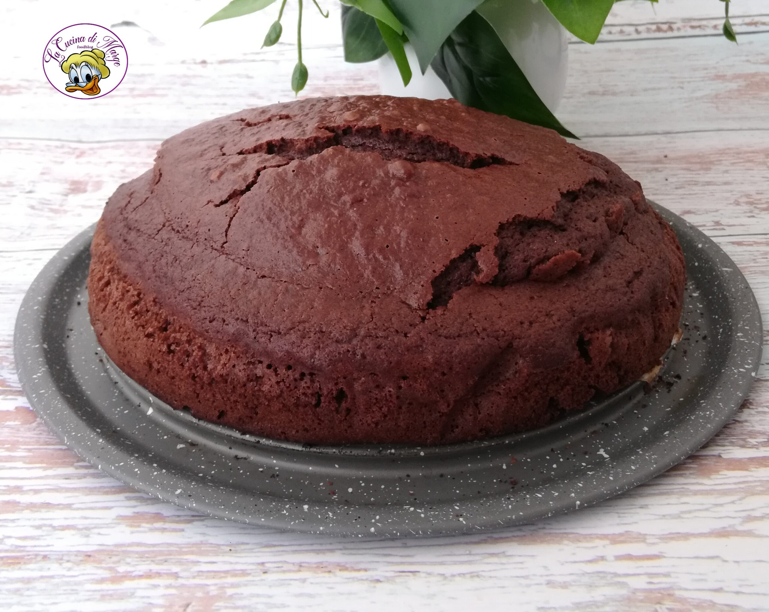 TARTA DE CHOCOLATE EN 5 MINUTOS
