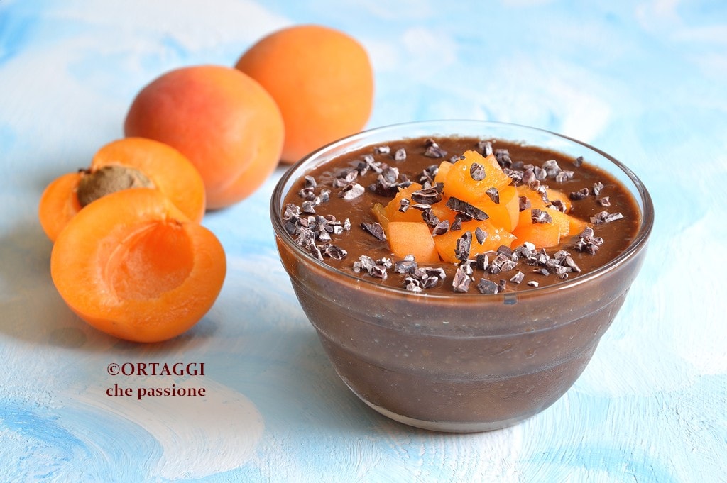 Mousse de albaricoques – 2 ingredientes