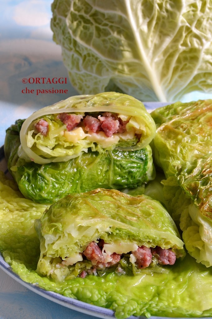 Rollitos de repollo sencillos y sabrosos