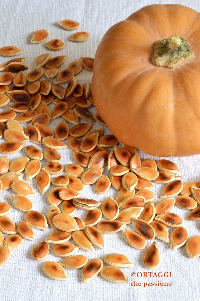 semillas de calabaza tostadas en sartén y saladas