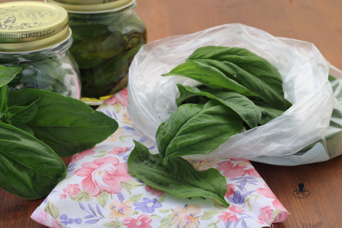 Cómo congelar la albahaca, para tener un suministro durante todo el invierno.