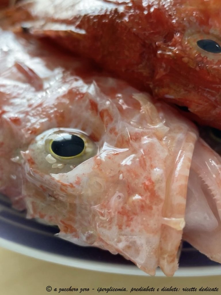 Caldo de pescado cebolla o cabracho