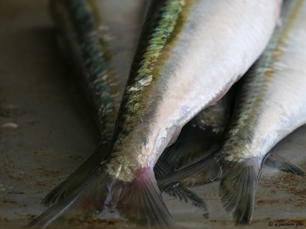 Dorado en guiso con tomate