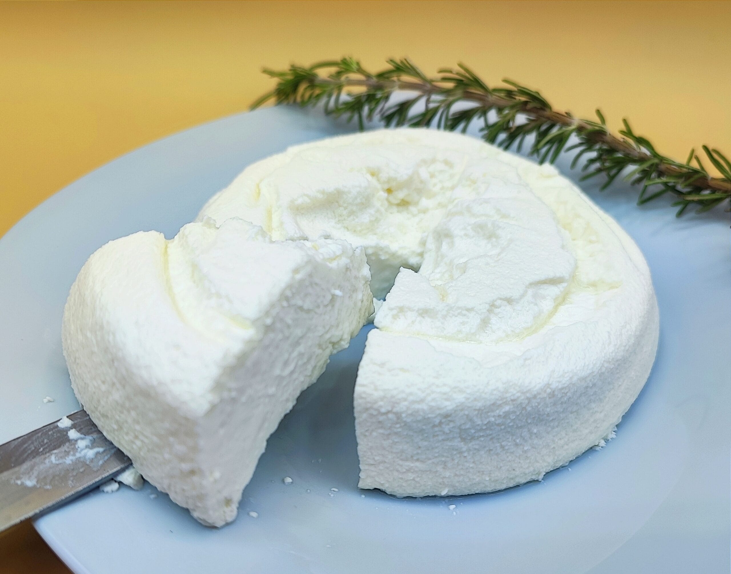 Queso fresco sin cuajo