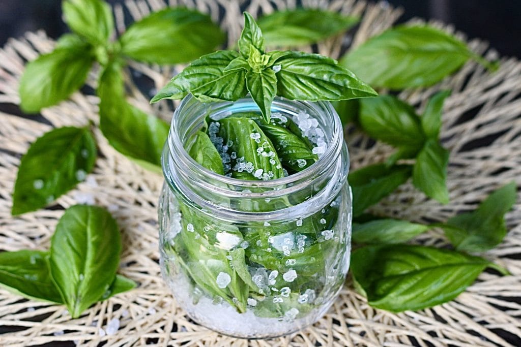 Albahaca en sal, cómo tenerla fresca todo el año.