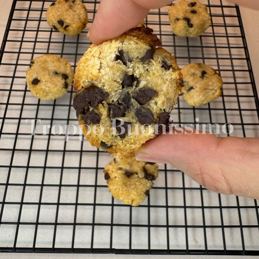 Galletas Saludables Sin Harina, Azúcar, Mantequilla, Aceite, Huevos y Levadura - Fáciles y Rápidas